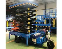 三(san)輪車升降(jiang)平台